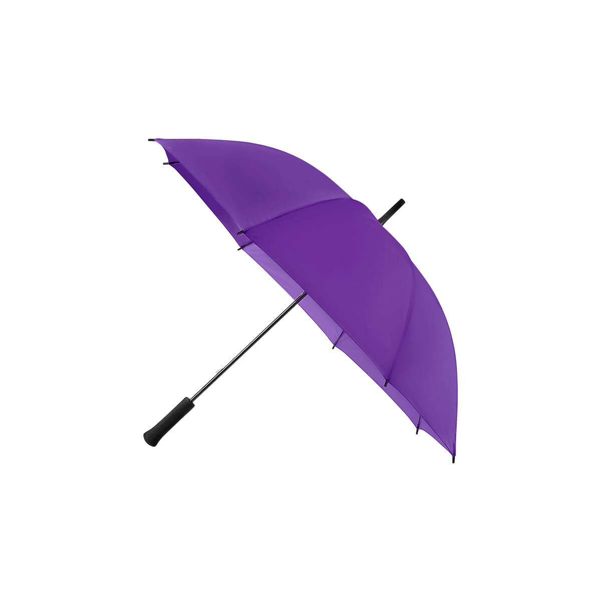 CC2151-MORADO